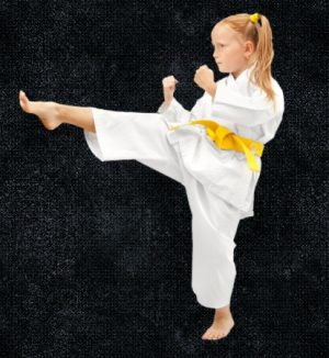 מזרני אומנויות לחימה